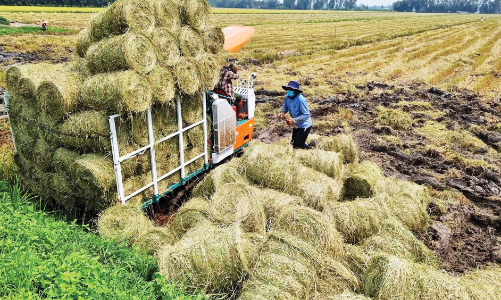 Kết nối và chia sẻ mô hình kinh tế xanh