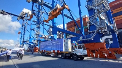 Hai Phong port handles 1 millionth TEU