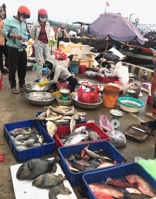 C&aacute; về cảng L&yacute; Sơn. Ảnh Ng&ocirc; Anh Văn