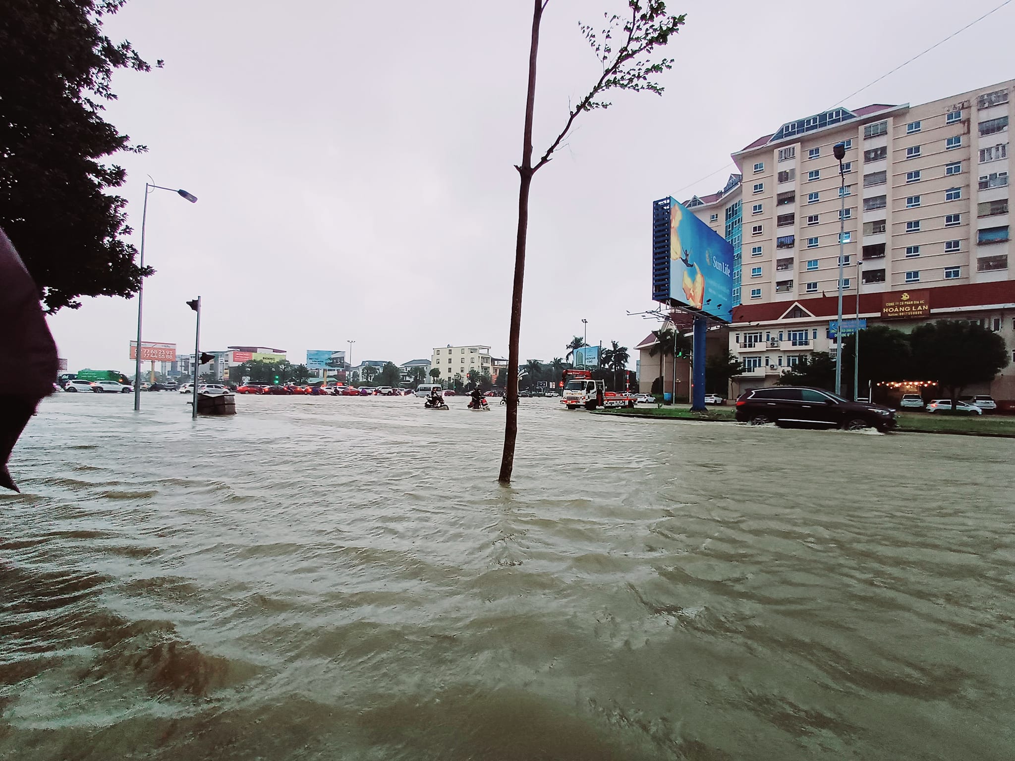 Nhiều tuyến đường dẫn đến các trường học bị ngập nước, khiến các phương tiện không thể di chuyển. Để đảm bảo an toàn cho học sinh, nhiều trường học tại thành phố Vinh đã quyết định thông báo cho học sinh tạm nghỉ học