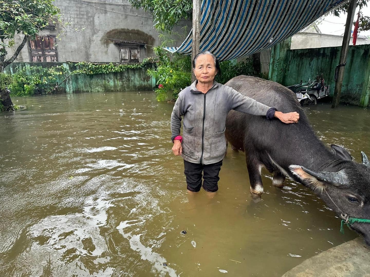 Người dân nhanh chóng di chuyển vật nuôi và tài sản đến khu vực an toàn
