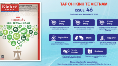 Tap chi Kinh te Viet Nam, Issue 46