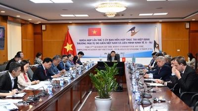 Vietnam-EAEU trade showing signs of recovery
