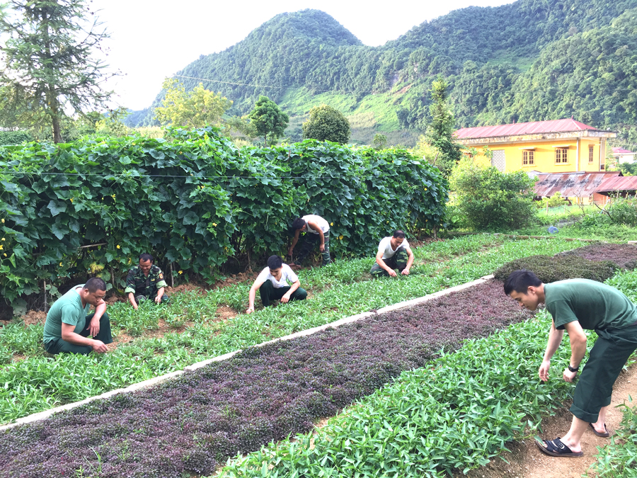 Đẩy mạnh tuyên truyền nâng cao nhận thức của toàn xã hội về an toàn thực phẩm.