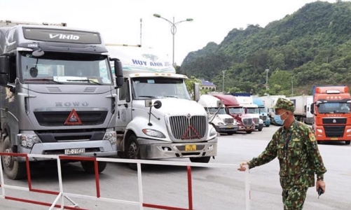 Xe các nước ASEAN vào Việt Nam bắt buộc phải mua bảo hiểm, nhận bồi thường có lo rắc rối?