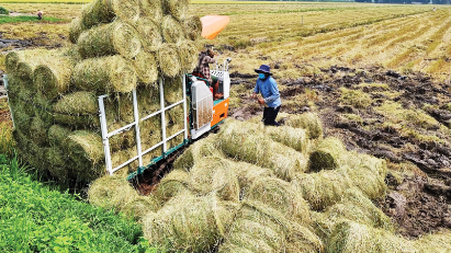 Vietnam Circular Economy Network helping promote a green economy