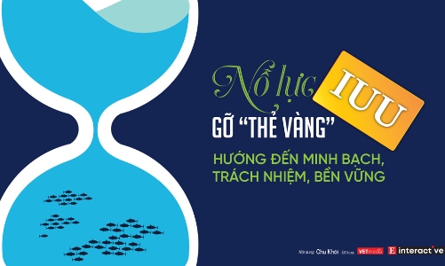 [Interactive]: Nỗ lực gỡ “thẻ vàng” IUU, hướng đến minh bạch, trách nhiệm, bền vững