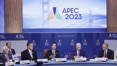 State President addresses APEC dialogue