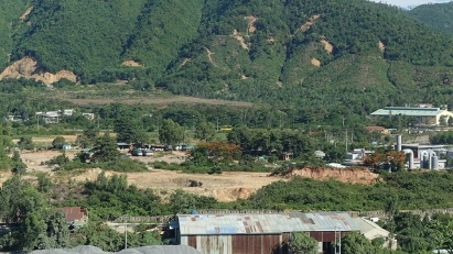 Da Nang changes use purpose of 80 ha of production forest land