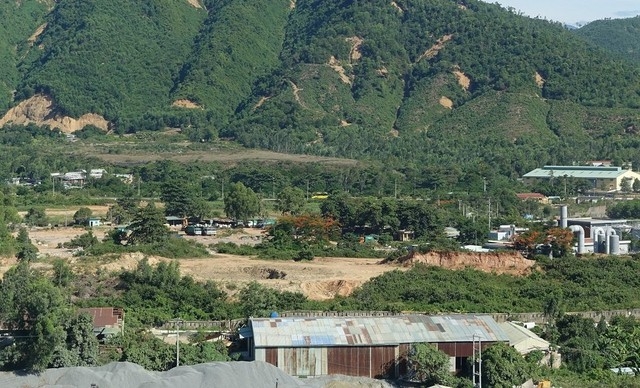 Da Nang changes use purpose of 80 ha of production forest land