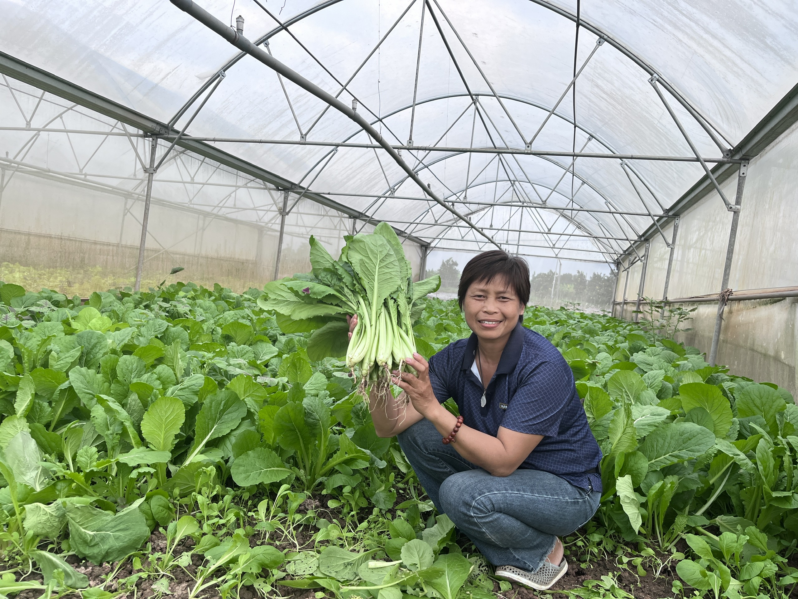 HTX của b&agrave; Cuối tại x&atilde; Đan Phượng l&agrave; m&ocirc; h&igrave;nh ti&ecirc;u biểu ứng dụng c&ocirc;ng nghệ cao của H&agrave; Nội, với 21 sản phẩm rau quả được c&ocirc;ng nhận OCOP 3 sao.