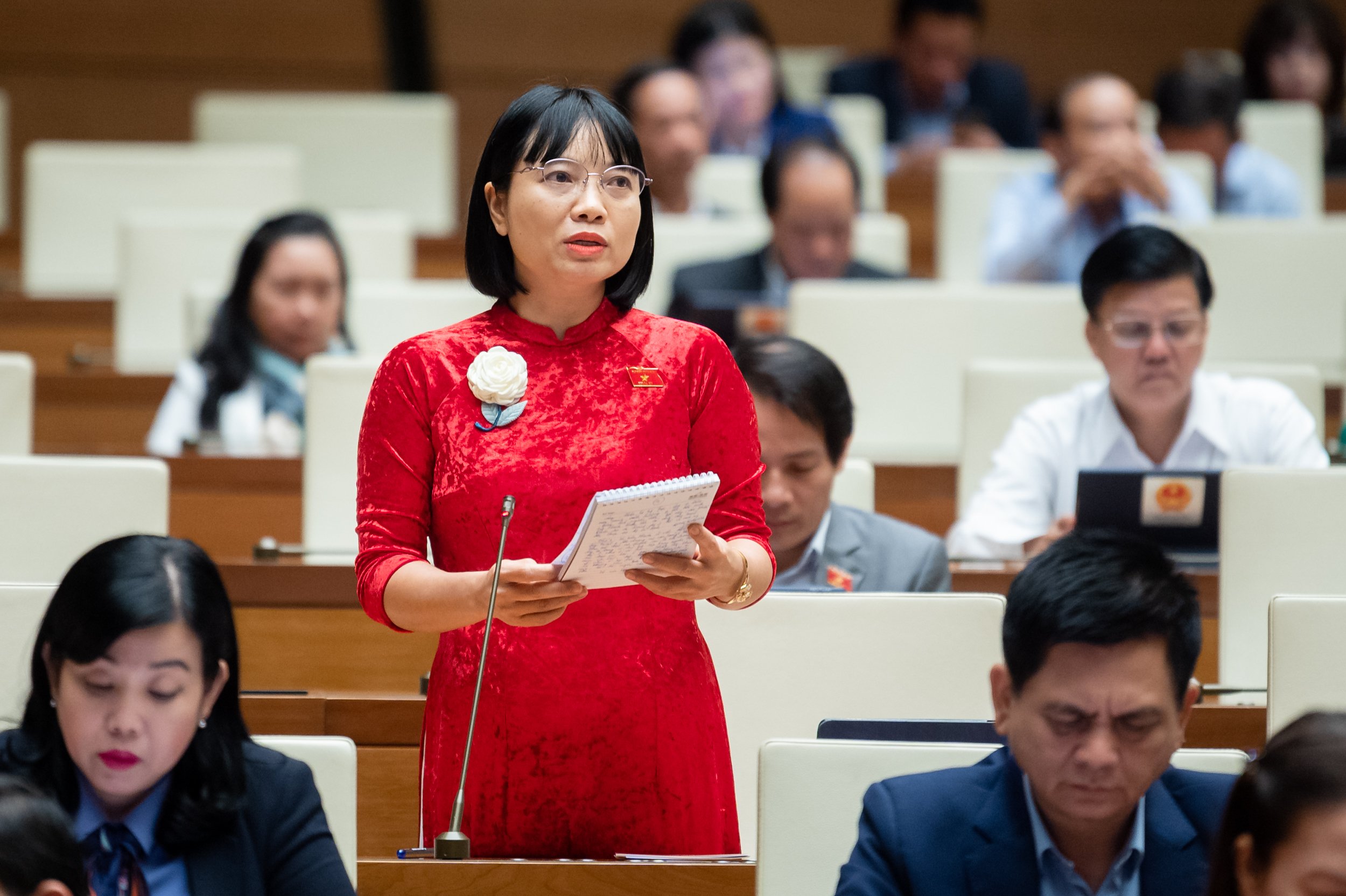 Đại biểu Quốc hội tỉnh Hải Dương cho rằng kết quả kích cầu được nêu trong tờ trình của Chính phủ chưa rõ. Tác dụng của chính sách này với việc tạo công ăn việc làm cho người lao động cũng cần được đánh giá một cách đầy đủ.