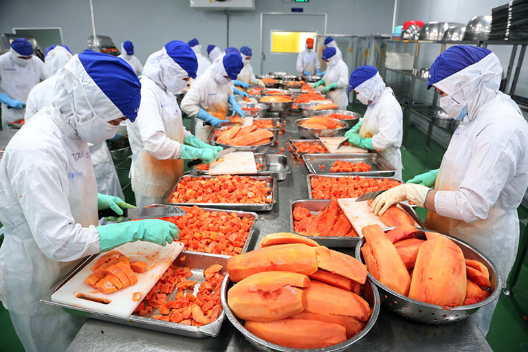 Nông sản là lĩnh vực tập trung nhiều chính sách xanh của EU.