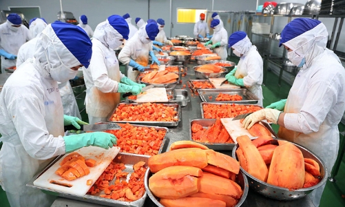 Thỏa thuận Xanh châu Âu: Nông sản, thực phẩm và dệt may cần nắm bắt cơ hội “người đi trước”