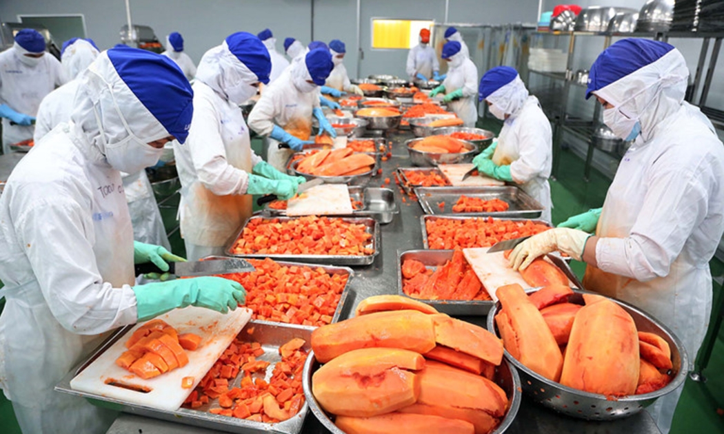 Nông sản là lĩnh vực tập trung nhiều chính sách xanh của EU.