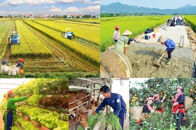 Vietnam targets 0.9% poverty rate by 2025