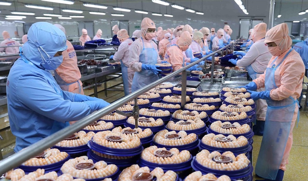 Năm 2022, xuất khẩu thủy sản Việt Nam sang Trung Quốc đạt 1,6 tỷ USD, tăng 66% so với năm 2021.Ảnh minh hoạ.