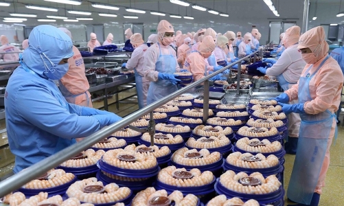 Xuất khẩu thuỷ sản sang Trung Quốc còn nhiều dư địa lớn