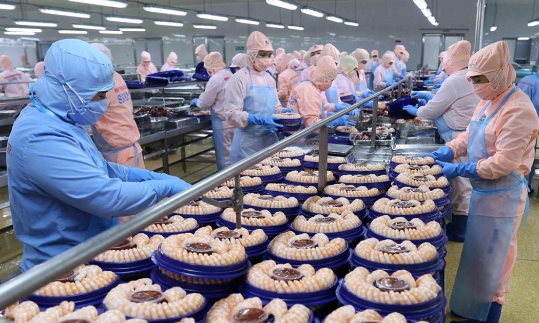 Năm 2022, xuất khẩu thủy sản Việt Nam sang Trung Quốc đạt 1,6 tỷ USD, tăng 66% so với năm 2021.Ảnh minh hoạ.