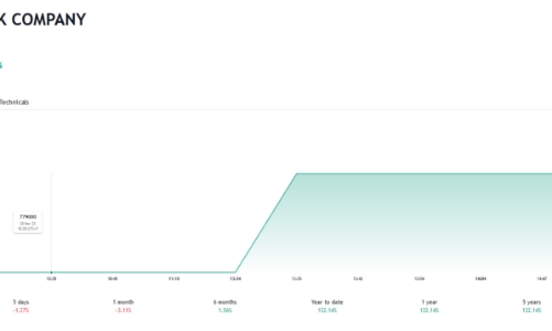 Không công bố thông tin đúng hạn, VNZ bị phạt tiền