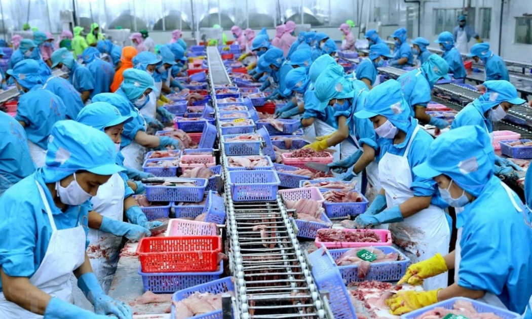 Nhóm thuỷ sản và thuỷ sản chế biến là các mặt hàng có nguy cơ bị mất thị trường tại Canada. Ảnh minh họa.