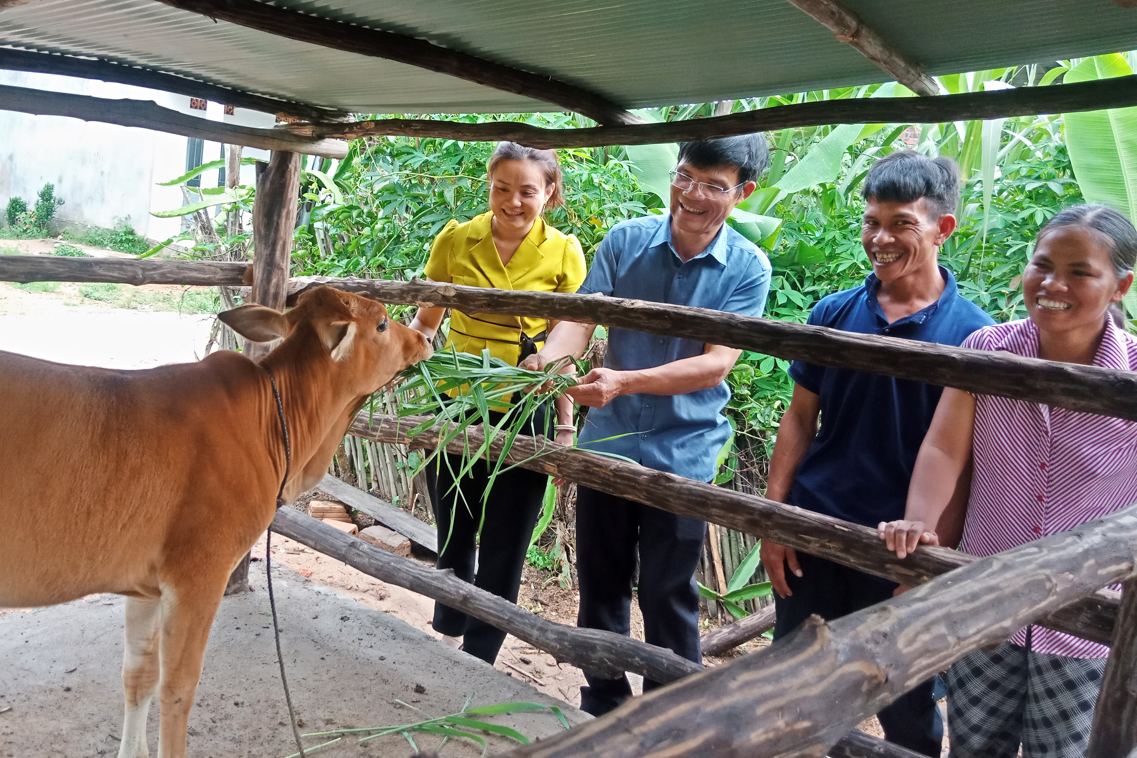 tặng bò cho hộ nghèo tại xã Đăk Tờ Re, huyện Kon Rẫy, tỉnh Kon Tum
