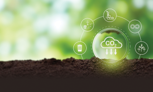 Việt Nam tiến gần hơn tới thị trường tín chỉ carbon