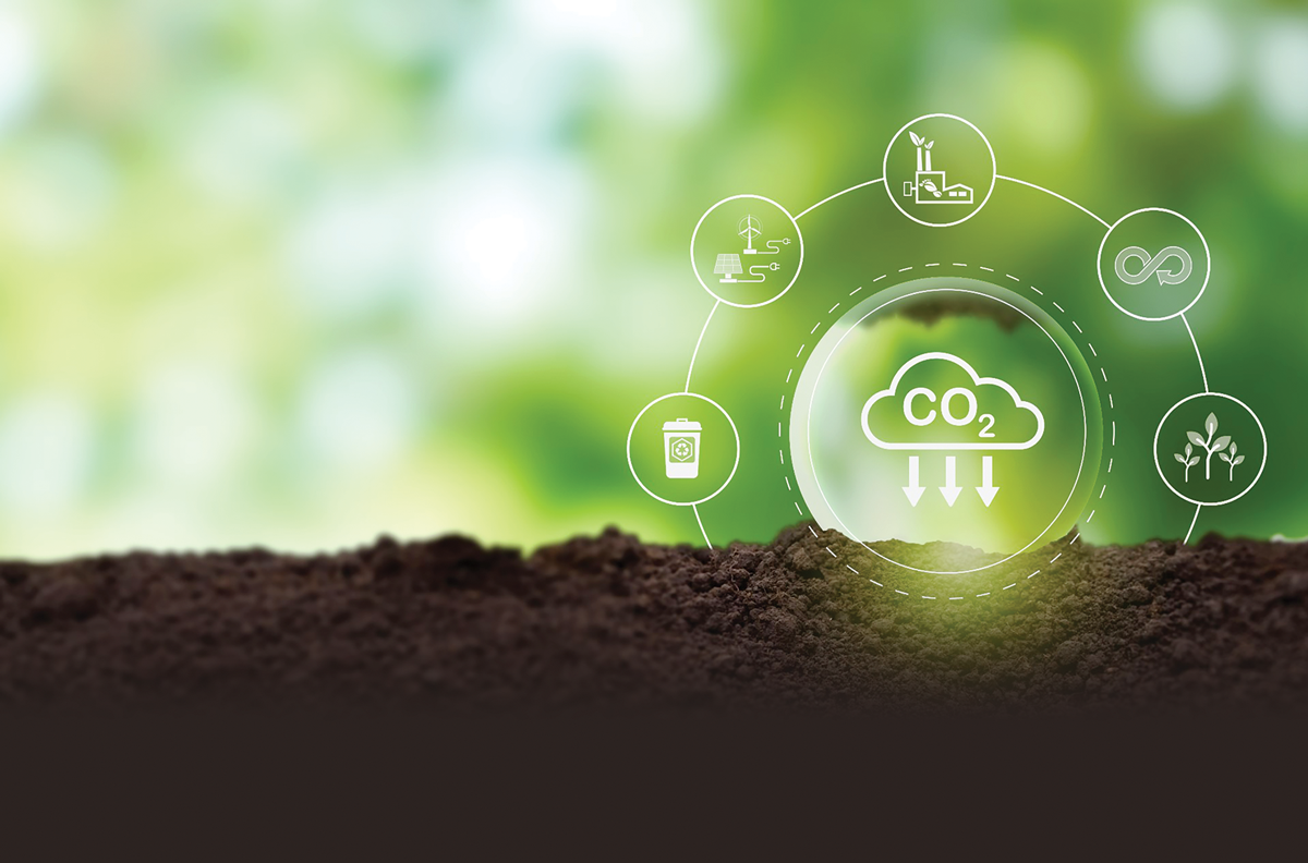 Nhiều công ty có thể nhận một khoản thu nhập đáng kể từ việc bán tín chỉ carbon.