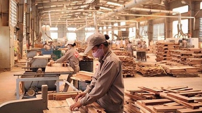 Wood and forestry product exports fetch $11.65bln in 10M