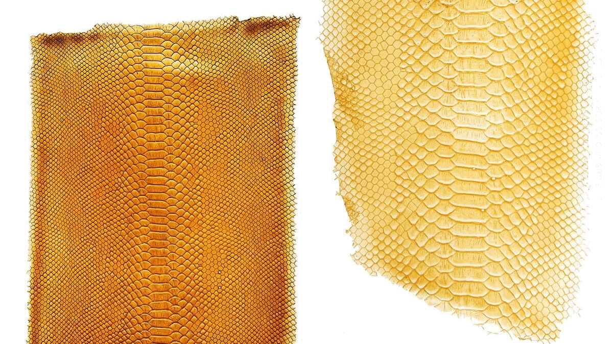 Từ vỏ tôm và bã cà phê đến vòng gọi vốn 4,15 triệu USD