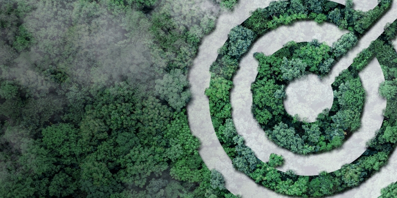 Forum discusses role of the private sector in energy