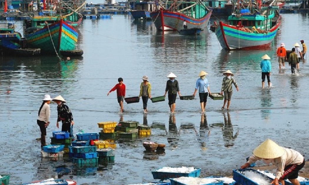 Cùng với việc cắt giảm tàu cá để bảo vệ nguồn lợi, các địa phương cần quan tâm đến đời sống sinh kế của ngư dân. 