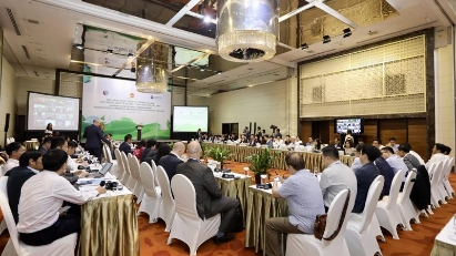 Vietnam in need of $368bln to build climate-resilient, carbonless economy