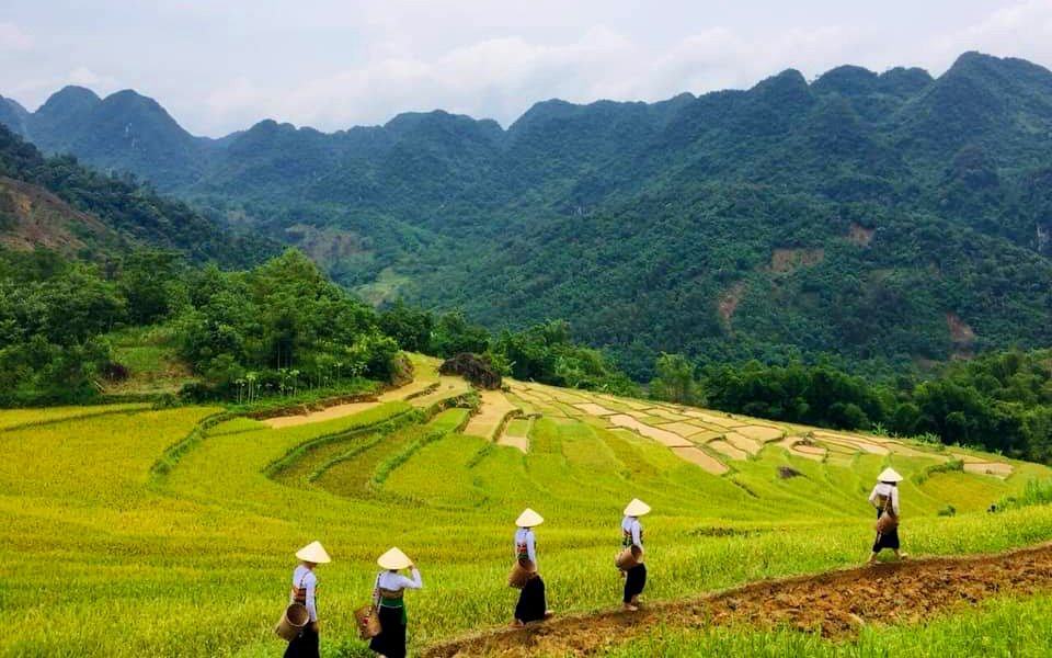 Khu bảo tồn thiên nhiên Pù Luông là nơi sinh sống của cộng đồng người dân tộc Thái, Mường.