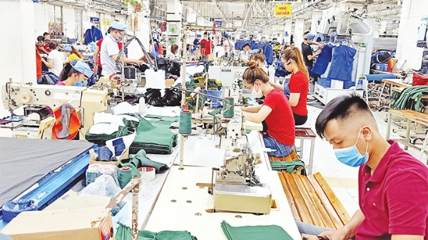 Nhiều vướng mắc về thuế của doanh nghiệp được giải đáp