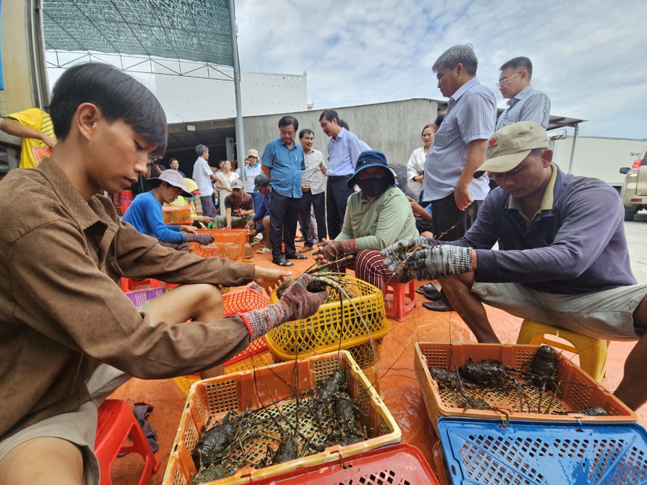 Xuất khẩu t&ocirc;m h&ugrave;m hiện đang bị ngừng trệ do những quy định mới từ ph&iacute;a Trung Quốc.