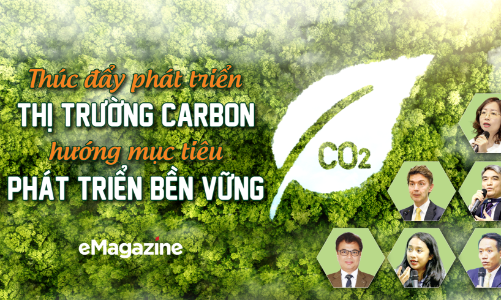 Thúc đẩy phát triển thị trường carbon, hướng mục tiêu phát triển bền vững
