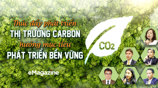 Thúc đẩy phát triển thị trường carbon, hướng mục tiêu phát triển bền vững