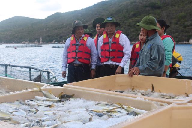 Cần n&acirc;ng cao năng lực chế biến, bảo quản để gia tăng gi&aacute; trị cho thủy sản.