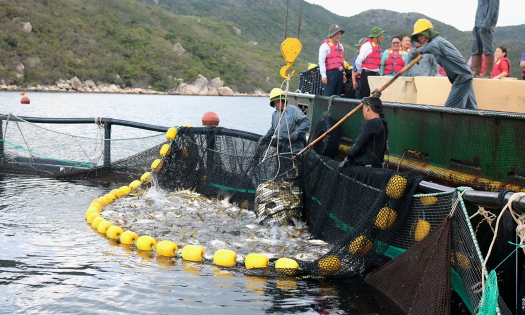 Tiêu thụ thủy sản vẫn còn nhiều khó khăn.