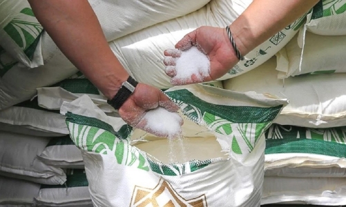 Phân giao hạn ngạch thuế quan nhập khẩu đường năm 2023 theo phương thức đấu giá