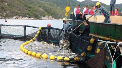 Difficulties facing seafood exports to continue into 2024