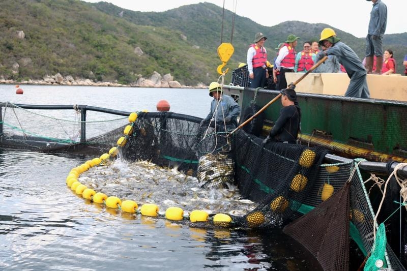 Difficulties facing seafood exports to continue into 2024