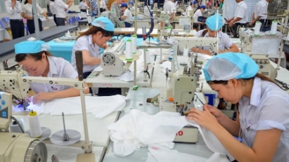 146,000 new enterprises established in 11M