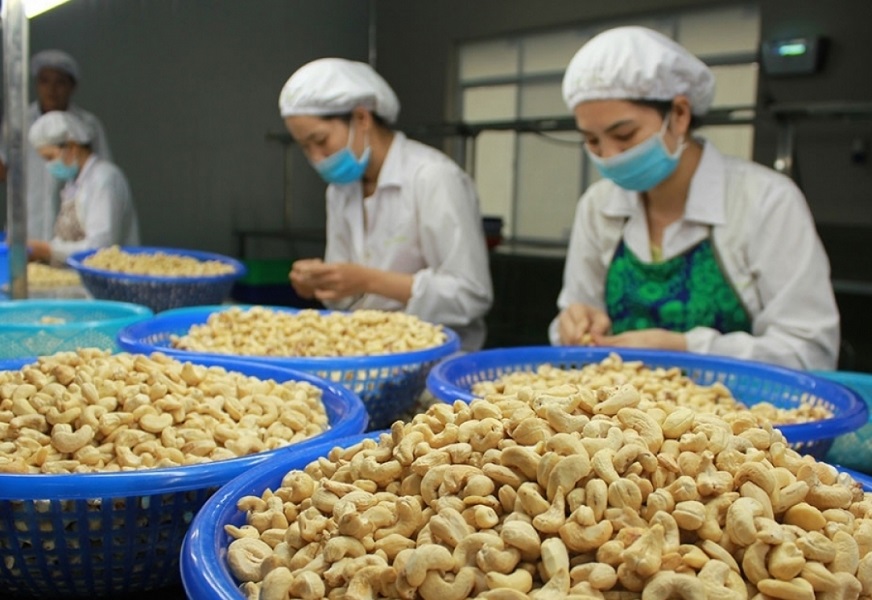 100 container hạt điều bị lừa đảo tại Italia năm 2022 là bài học lớn cho các doanh nghiệp Việt Nam. Ảnh minh họa.