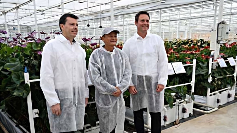 Chán công nghệ, tỷ phú Jack Ma đầu tư vào lĩnh vực nông nghiệp và thực phẩm. 