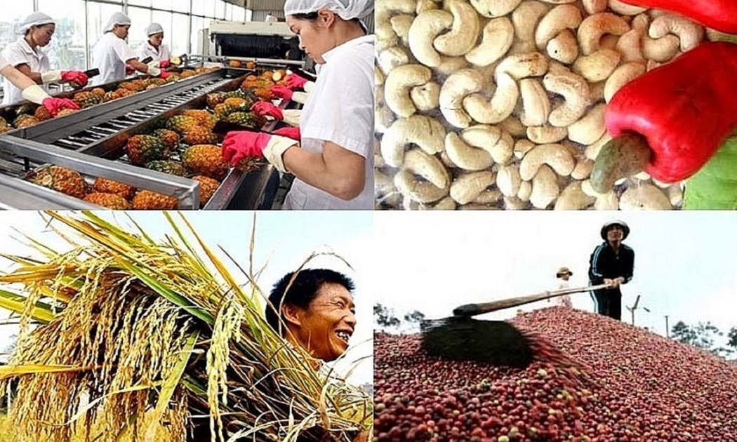 Xuất khẩu nông sản đã lấy lại được đà tăng trưởng cao.