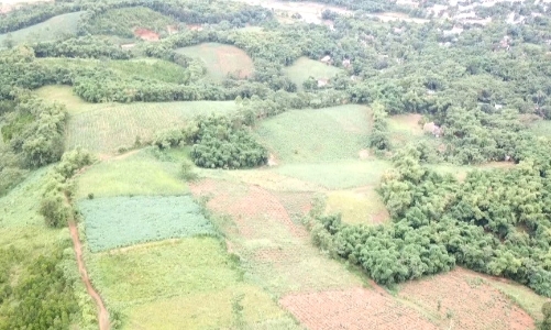 Sắp “khai tử” dự án gần 2.700 tỷ đồng sau hơn nửa thập kỷ “đắp chiếu”