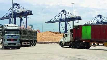 Ha Tinh posts record export revenue in 2023