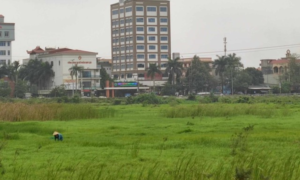 Dự án khu dân cư kết hợp công viên thể thao Đình Hương, TP.Thanh Hóa, một trong những dự án bị bãi bỏ